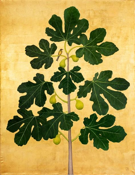  The Fig Tree That Spoke Secrets! – A Glimpse into 4th Century Ethiopian Folklore